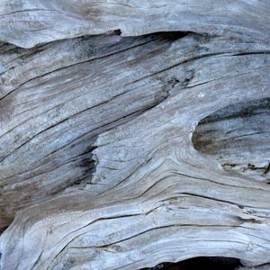 More than 30 original scents: Amber Driftwood to Zen