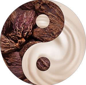 Black cardamom pods and cream as yin/yang